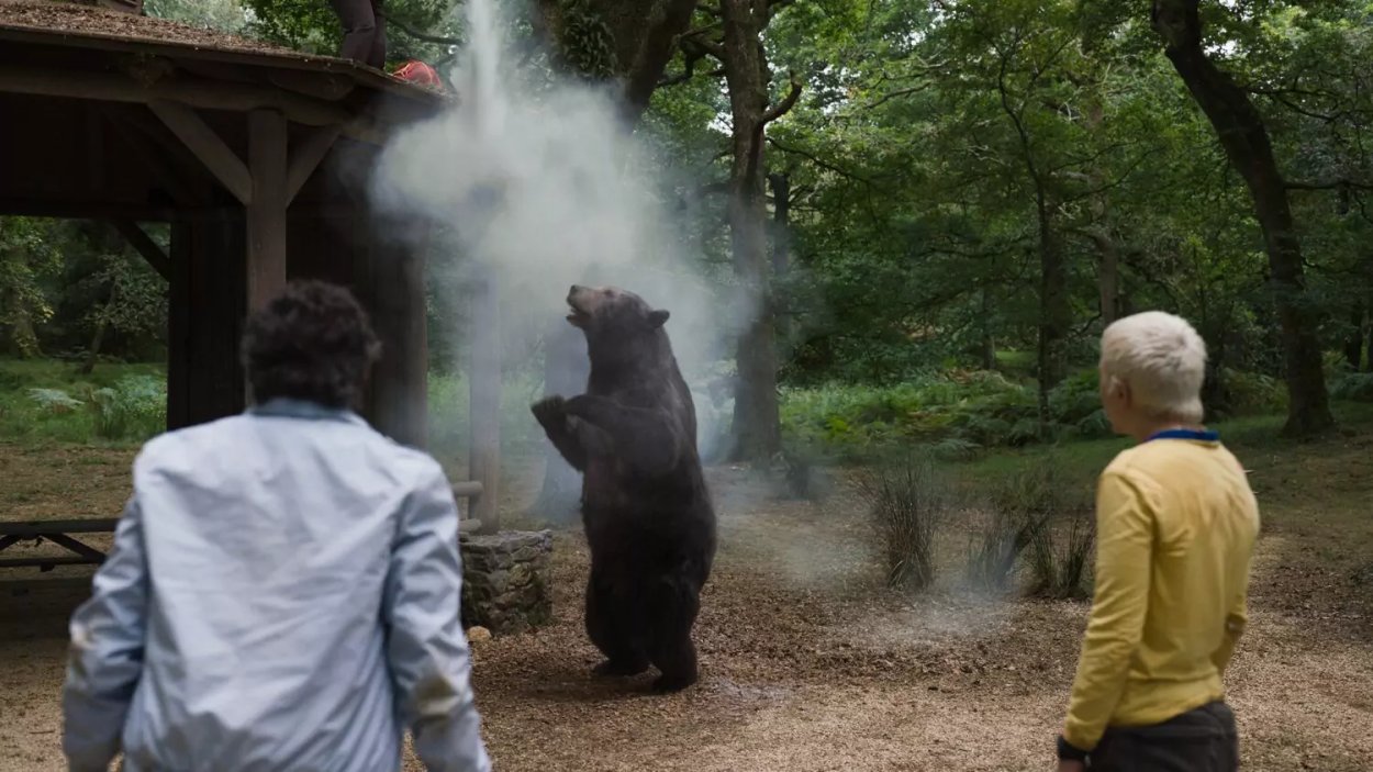 Momento de la película "Oso vicioso"