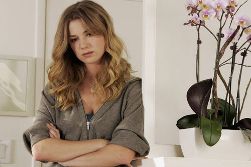 Emily VanCamp interpreta a Rebecca Harper