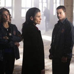 Melina Kanakaredes, Sela Ward y Gary Sinise