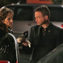 Melina Kanakaredes y Gary Sinise