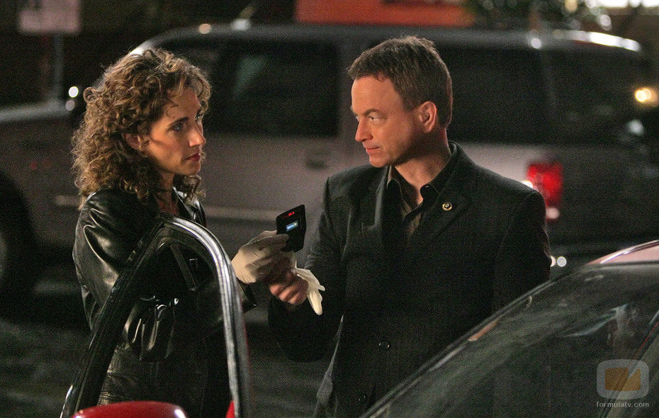 Melina Kanakaredes y Gary Sinise