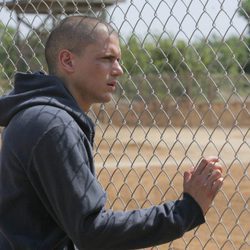 Michael Scofield en 'Orientación'