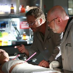 William Petersen en 'Ya basta', de 'CSI: Las Vegas'