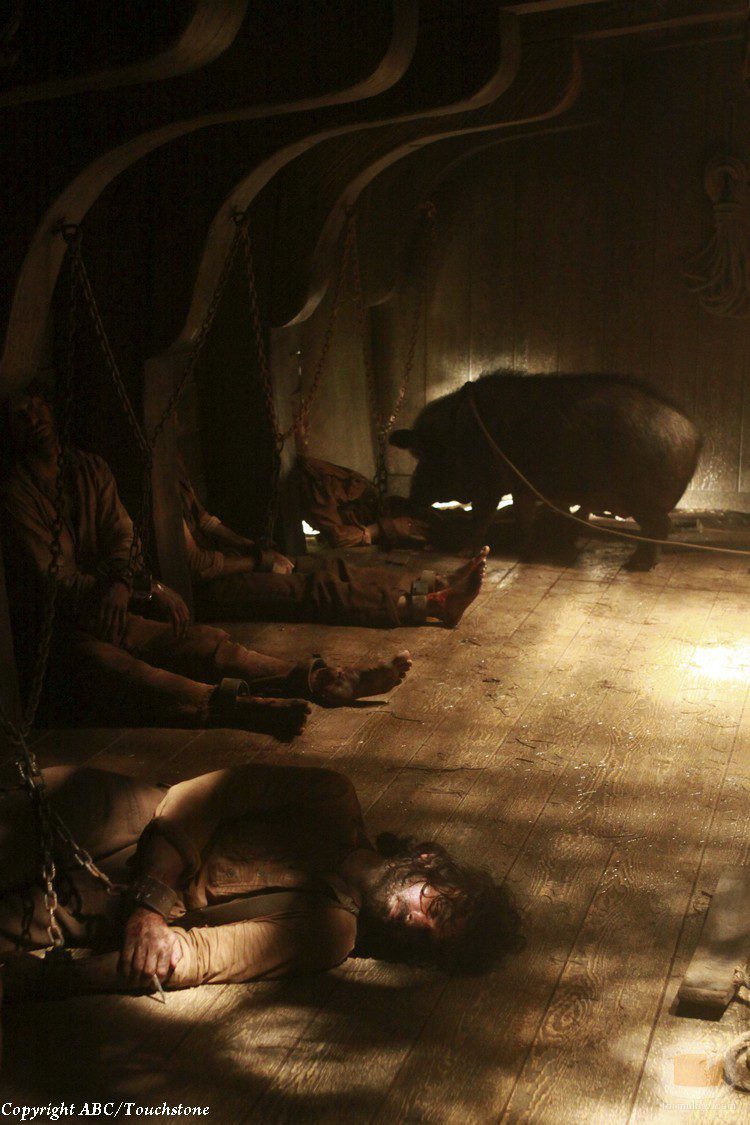 Un jabalí visita a Richard mientras está inconsciente