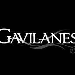 Logo de 'Gavilanes' en negro