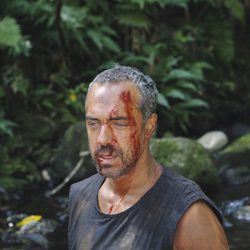 Titus Welliver