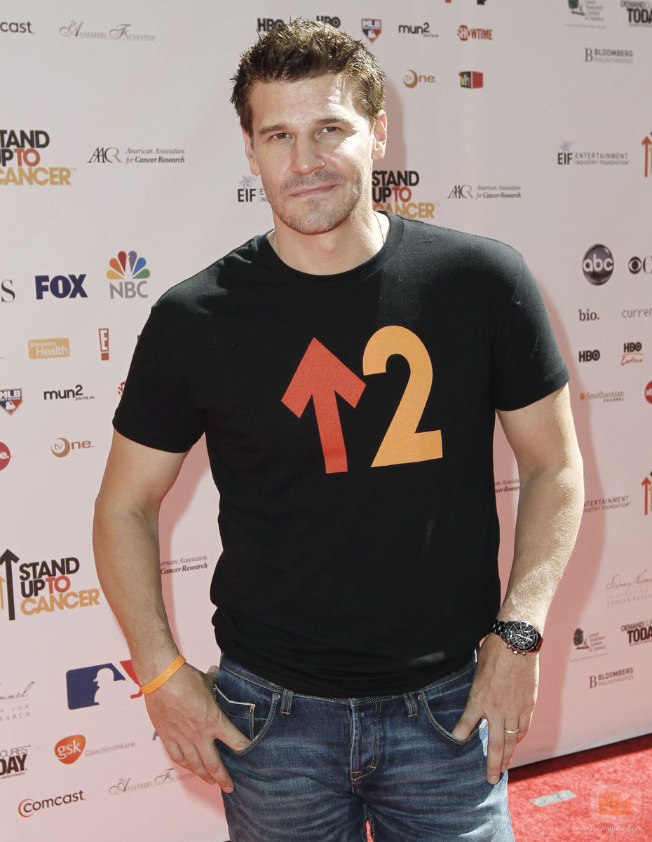 David Boreanaz en 'Stand Up to Cancer'