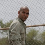 Amaury Nolasco en Prison Break