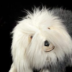 El perro Samson