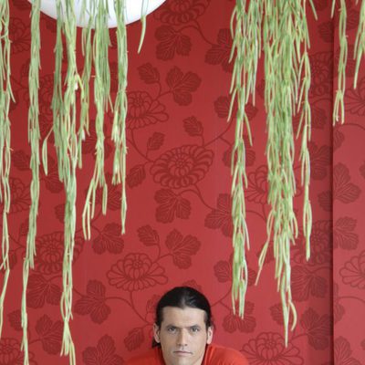 Íñigo Segurola, presentador de 'Bricomania' y 'Decogarden'