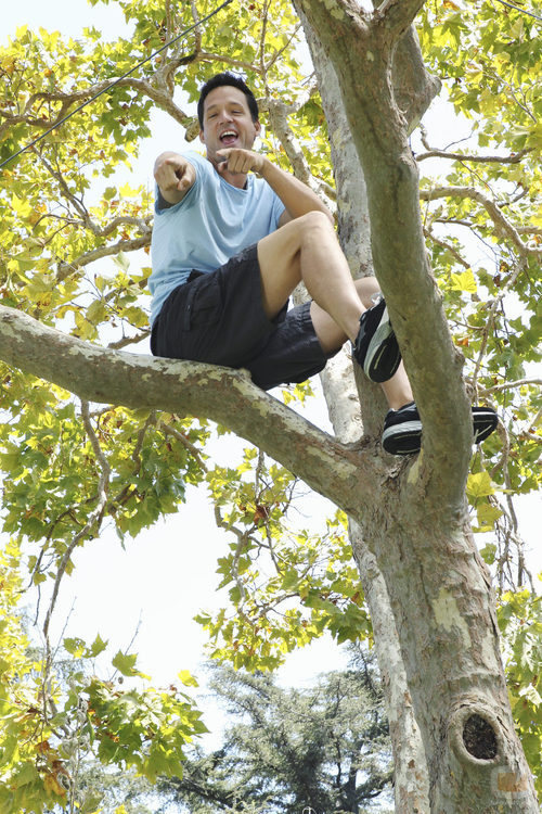 Grayson subido a un árbol en 'Cougar Town'