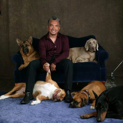César Millán, especialista en conducta canina