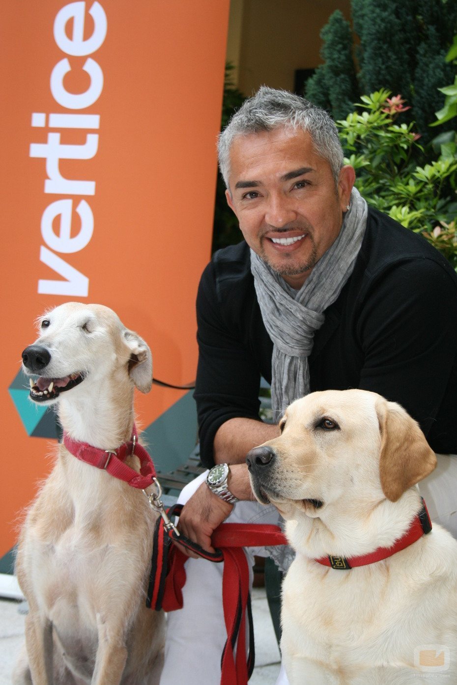 César Millán, el encantador de perros