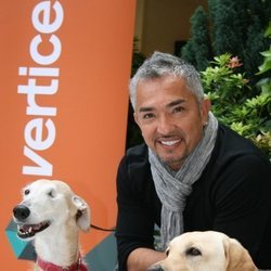 César Millán, el encantador de perros