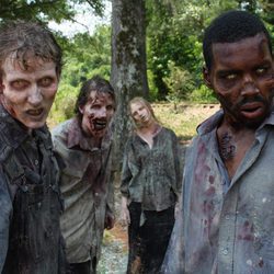 Imagen de la segunda temporada de 'The Walking Dead'