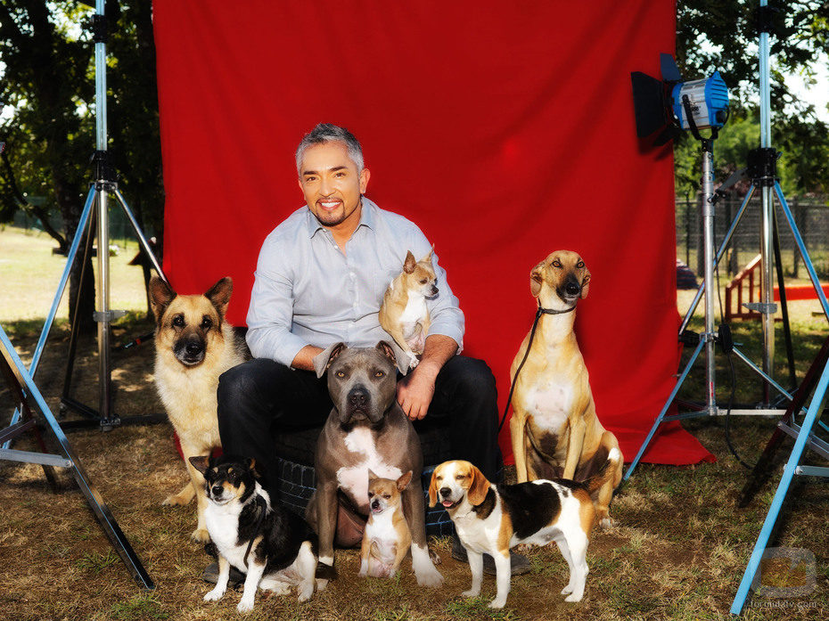 César Millán prepara 'El líder de la manada'