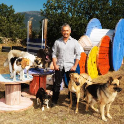 César Millán inicia 'El líder de la manada'