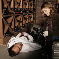Secuencia de 'Días de vino y cucarachas' de la serie de 'CSI: NY'