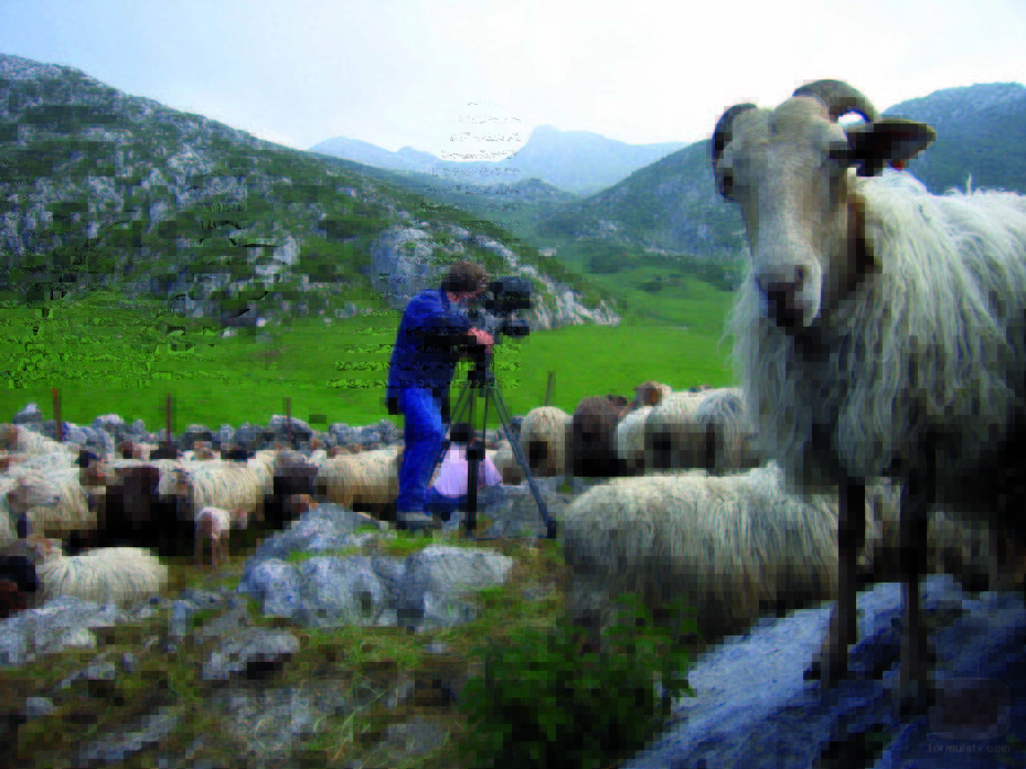Un cámara en 'Huellas trashumantes'