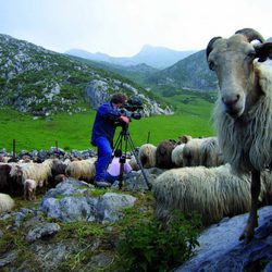 Un cámara en 'Huellas trashumantes'
