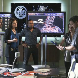 El equipo de 'CSI: NY' al completo