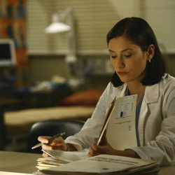 Lexie Grey en el hospital de Anatomía de Grey