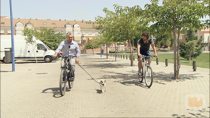 Alex García en 'El líder de la manada'