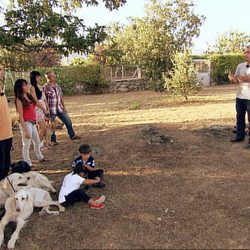 César Millán vuelve con 'El líder de la manada'