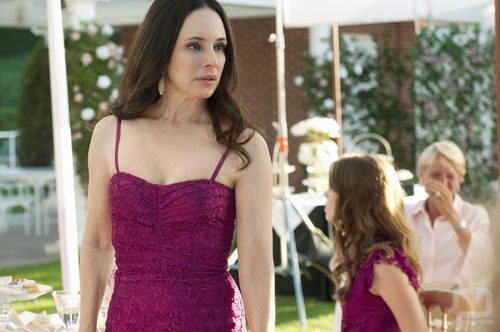 Madeline Stowe en la serie de Fox 'Revenge'
