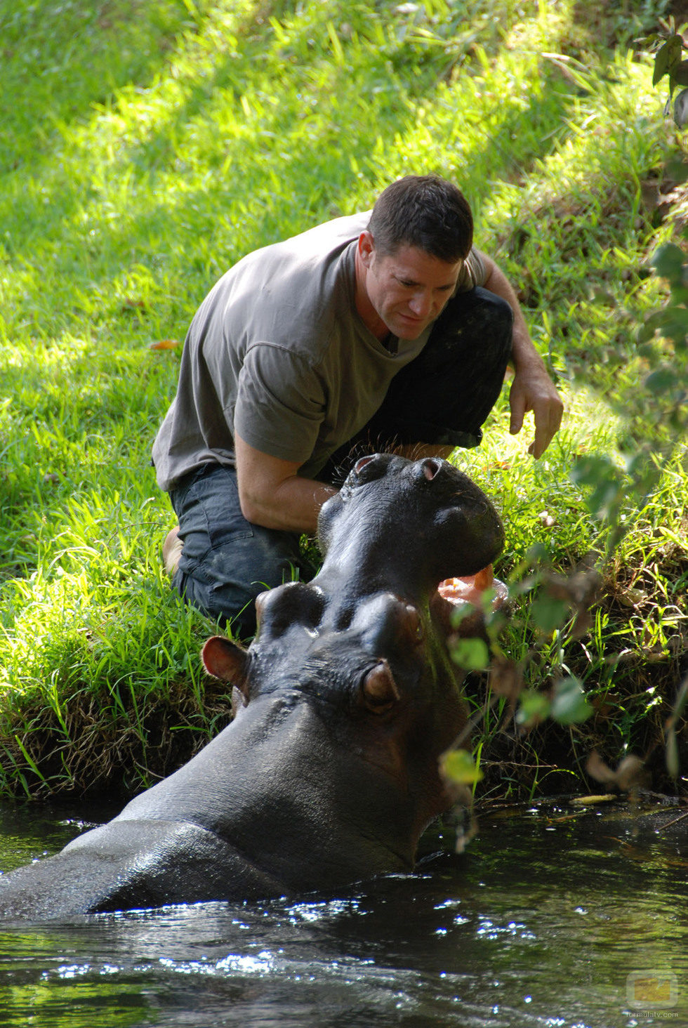 Steve Backshall toca a un hipopótamo en 'Fauna letal'