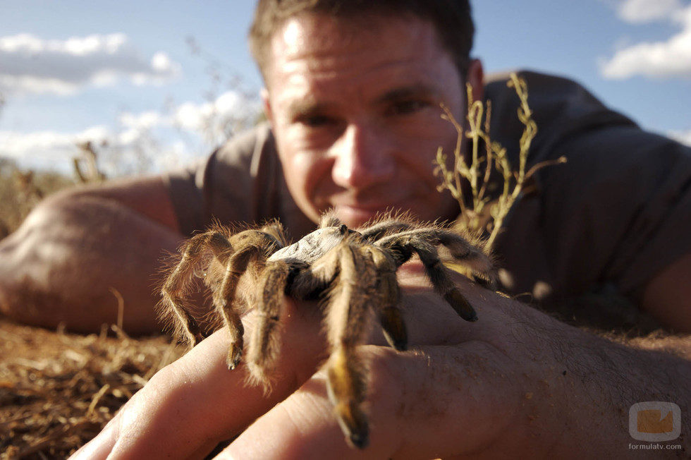 Steve Backshall muestra un arácnido letal