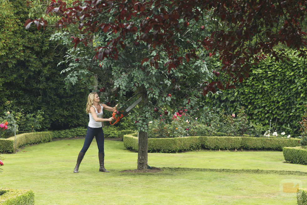 Emma tala el árbol de las manzanas de Regina en 'Once Upon a Time'