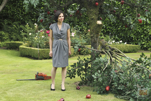Regina se encuentra en su casa el manzano talado en 'Once Upon a Time'