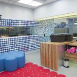 Cuarto de baño de 'Gran Hermano catorce'