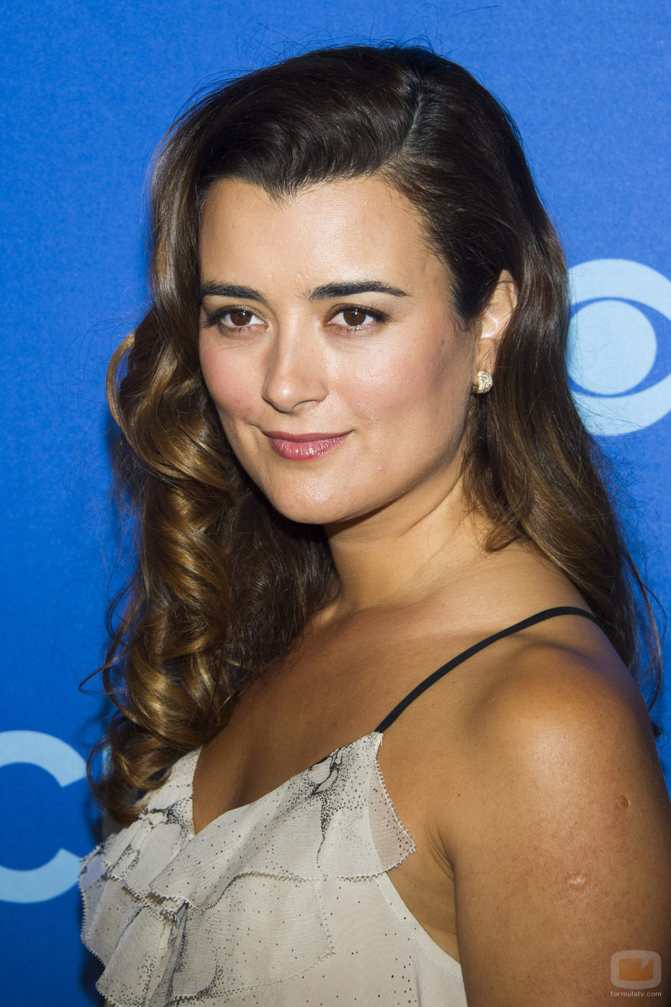 Cote de Pablo ('NCIS') en los Upfronts 2013 de CBS