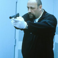 James Gandolfini en "The Mexican"