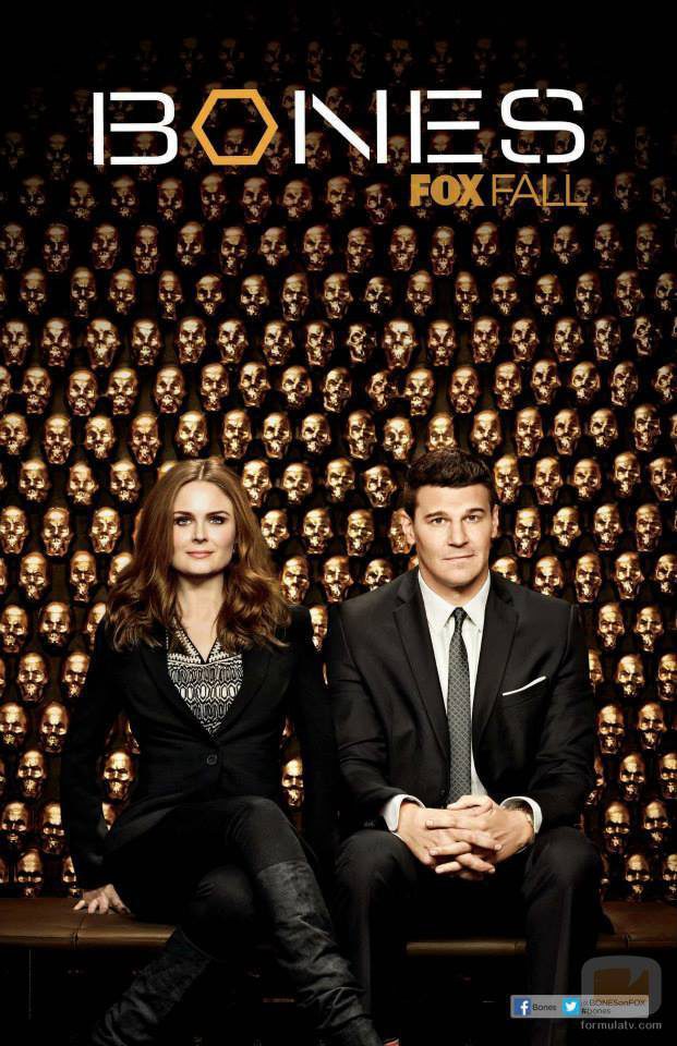 Póster de 'Bones' para la Comic-Con 2013