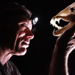 'Monstruos de río' regresa a Discovery Max con la quinta temporada