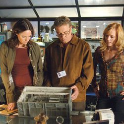 Dr. Gil Grissom, Catherine Willows y Sara Sidle en CSI