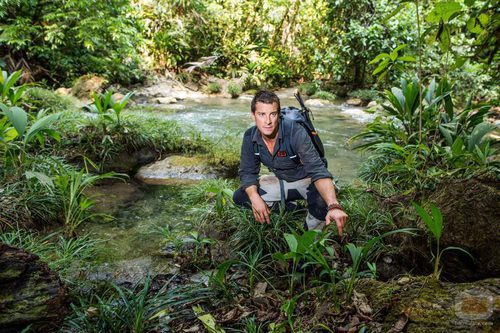 Bear Gylls en la selva durante un programa de 'Escapar del infierno'