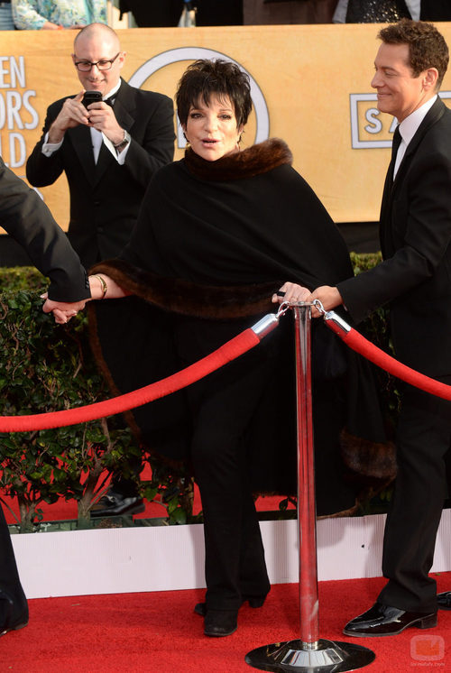 Liza Minnelli en la alfombra roja de los SAG 2014