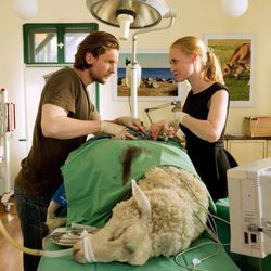 El veterinario y la médico en 'Bienvenida al pueblo, doctora'