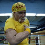 Hulk Hogan