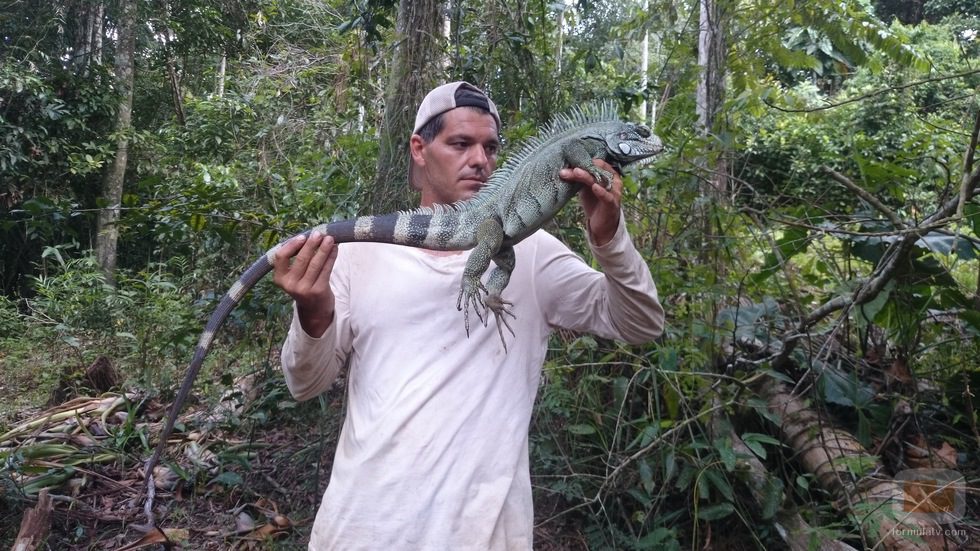 Frank Cuesta con una iguana en 'Wild Frank'