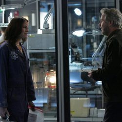 Jorja Fox y William Petersen de la serie 'CSI'