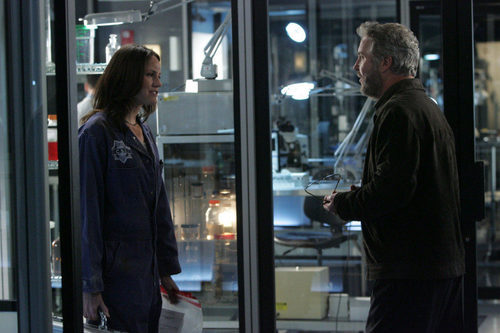 Jorja Fox y William Petersen de la serie 'CSI'
