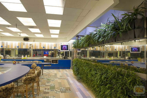 La salvaje cocina de 'Gran Hermano 15'