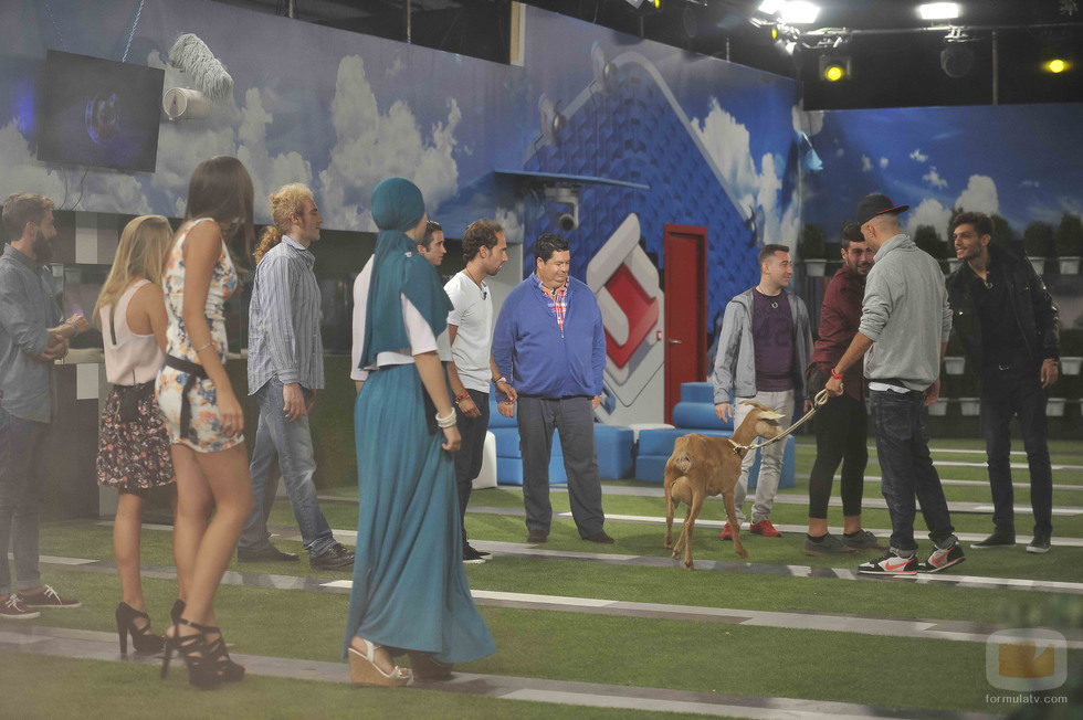Los concursantes y la cabra de 'Gran Hermano 15'