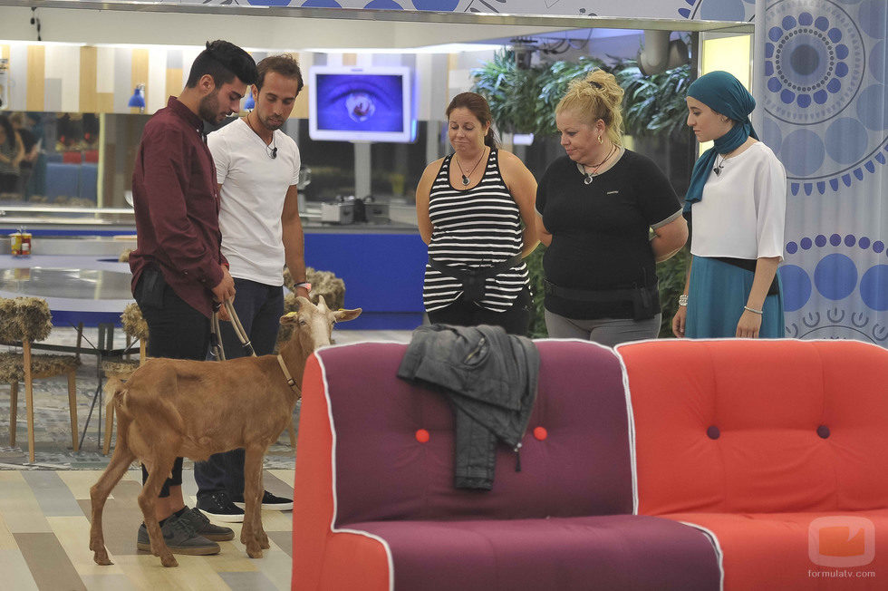 Hugo, José, Mayca, Loli, Shaima y la cabra en 'Gran Hermano 15'