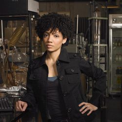 Jasika Nicole es Astrid Farnsworth en 'Fringe'
